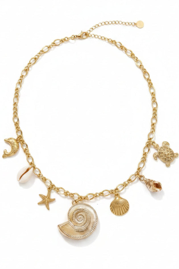 Collier-acier-inox-agalega-fond-blanc