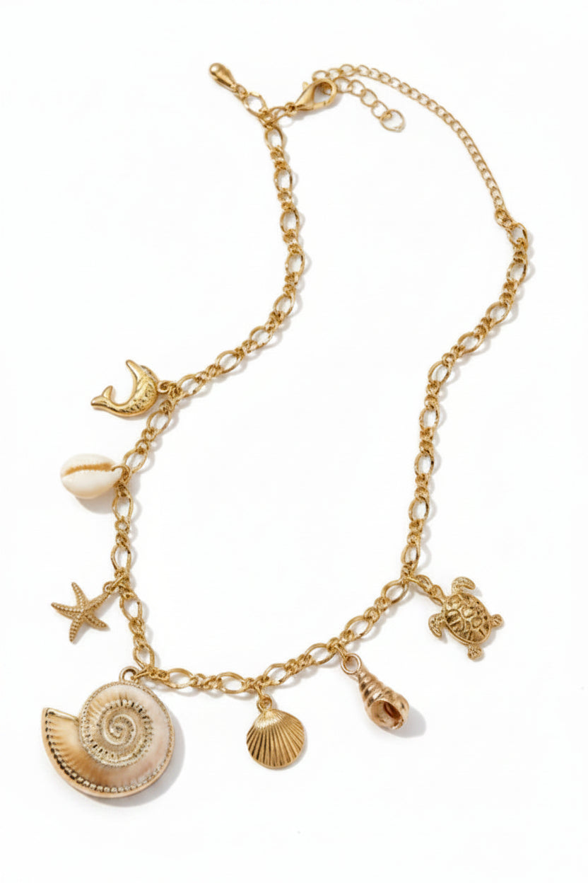 Collier-acier-inox-agalega-coquillage-fond blanc
