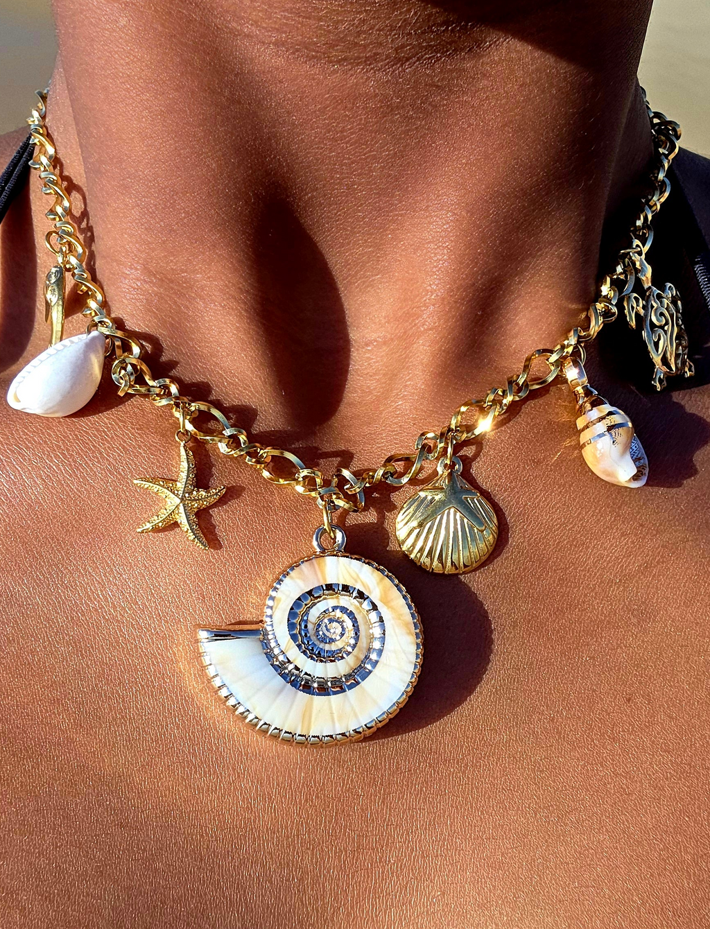 collier-acier-inox-agalega-porte